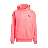 在飛比找蝦皮商城優惠-Adidas AE Foun Hoody IR5638 男 