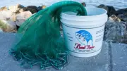 Bait Buster 10 ft. Radius 1/2" Sq. Mesh Bait Cast Net CBT-BBA10 by Lee Fisher