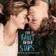 THE FAULT IN OUR STARS 生命中的美好缺憾 (LP) 黑膠唱片