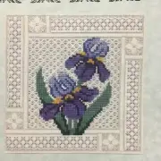 NANCY'S NEEDLE Cross Stitch & Embroidery Chart for 18 ct Canvas CRYSTAL IRISES