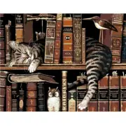Paint By Numbers Adults kids Cats In Bookshelf DIY Painting Kit 40x50CM Canvas