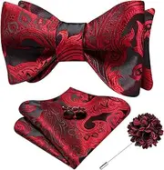 Dubulle Mens Paisley Flroal Bow Ties and Lapel Pin Set Self Tie Bowties for Men Pocket Square Cufflinks Wedding Suit