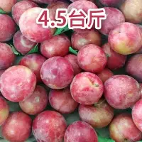 在飛比找台灣好農優惠-【喜樂拉拉山】櫻桃李(4.5台斤/箱)