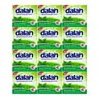 Dalan Antibacterial Refreshing Soap Spring Freshness 36 Bars x 3.17oz Each