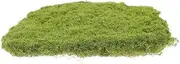 Artificial Grass Rug for Crafts Realistic Fake Moss Decoration with Drainage Versatile for Potted Plants and Home Decor Low Maintenance Safe for Pets