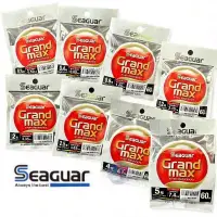 在飛比找蝦皮商城優惠-《Seaguar》GRANDMAX-60M(橘)卡夢線 碳纖