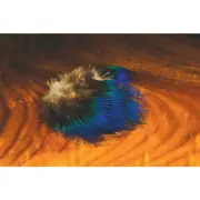 Hareline Dubbin Blue Peacock Feathers