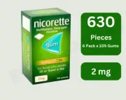 Nicorette Fruitfusion Gum, 2 mg, 105 Pieces — 6 Packs Expiry 2027