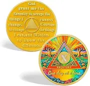 CHURYUML 10 Year Sobriety Coin - One Day at a Time Sober Chip, Ten Year AA Coins with Serenity Prayer Recovery Medallions Sobriety Gifts for Women Men Alcoholics Anonymous Addiction Recovery Gift