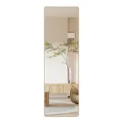 120cm Wall Mounted Full Length Mirror Door Hanging