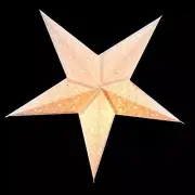 Quasimoon 24" Silver Bramble Glitter Paper Star Lantern, Hanging Decoration b...