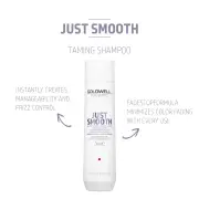 Goldwell Dualsenses Just Smooth Taming Shampoo 300ml