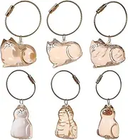 [Generic] 6 Pcs Cat Hair Storage Bottle, Pet Fur Keepsake Keychain for Collecting Cat and Dog Memorial Bottle Pet Memorial Gift