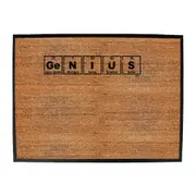 Genius Element - Funny Novelty Doormat Man Cave Floor mat
