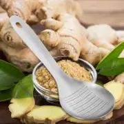Ginger Press Garlic Crush Tool Professional Garlic Press Mincer