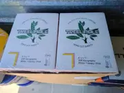 Box Treeliable 3 Part Carbonless Cut Sheets 8-1/2" x 11" Straight Sequence