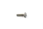 Lens Screw for Turn Signal fits Harley Davidson