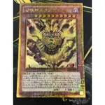 有點名 遊戲王 MB01-JP001 召喚神 艾克索迪亞 黃金古鑽