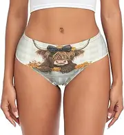 [RPLIFE] Highland Cow Sitting in Old Silver Womens Breifs Underware, Breathable Panty, Comfort Underwear Women, Underwear Ladies Small, Highland Cow Sitting in Old Silver 1, Small