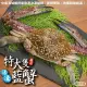 【三頓飯】活凍特大隻藍花蟹(5隻_400-450g/隻)