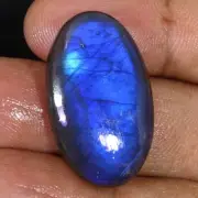 26.60Ct Natural Stunning Blue Spectrolite A Grade Oval Cabochon LABRADORITE Gems