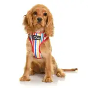 DOOG Scooby Dog Harness - Coloured Stripes- New! Neoflex Soft Harness