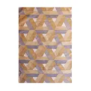 200 X 290Cm Metric Flat Weave Gold Rug