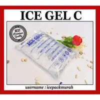 在飛比找蝦皮購物優惠-Blue ICE GEL 500 克冷藏袋即時冷卻耐用 IC