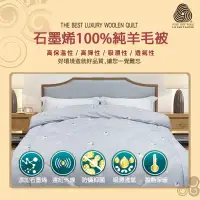 在飛比找環球Online優惠-【Indian】石墨烯天然100%純羊毛被