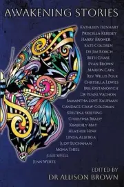 Awakening Stories by Allison Brown Paperback Book