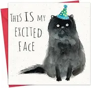 Twizler Funny Birthday Card Cat - Funny Birthday Card Women - Funny Birthday Card Men - Funny Birthday Card For Her - Funny Birthday Card For Him - Funny Card Birthday - Happy Birthday Card - Cat Card