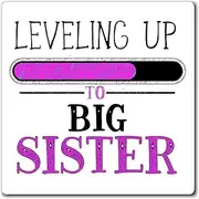Leveling Up to Big Sister Tshirt Magnets 3" × 3"