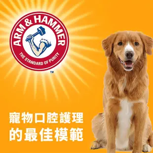 ARM & HAMMER 鐵鎚牌 貓用3合1潔牙套組 (全效) 寵物 貓咪 口腔護理 牙刷+牙膏 美白 抗敏感