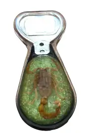 Bottle Opener with real Scorpion insect -magnetic-green background- lucite