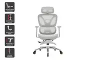 Ergolux Pro Ergonomic Mesh Office Chair with Footrest (Grey)