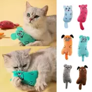Toy Gift Chew Crazy Grinding Play Toys Teeth Scratch Catnip Pillow Pet Cat* ♢