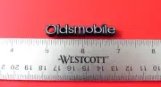 NEW 1977-78-79-80-81-82-83 Oldsmobile Ninety Eight 98 Glovebox Door Emblem-Badge