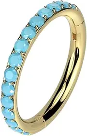 [Pierced Owl] 16GA ASTM F-136 Implant Grade Titanium Synthetic Turquoise Lined Outward Facing Hinged Segment Clicker Ring
