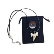 Natural Fossil Shark Tooth Pendent Necklace Approx 3-4 cm In A Velvet Pouch