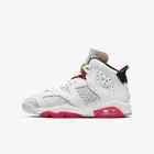 (GS) Air Jordan 6 Retro 'Hare' (2020) 384665-062 Sneakers Kids Youth Unisex