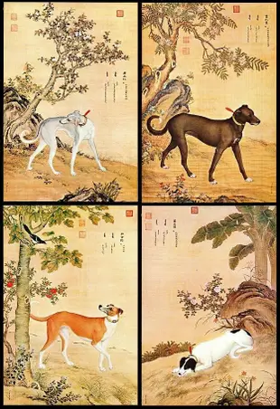 【KK郵票】《原圖卡》故宮博物館印行「清郎世寧畫十駿犬圖」大型原圖卡，票貼背面，十張附封套。片幅：127mm×190mm