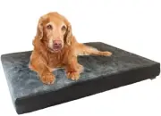Large Gray Suede Pet Dog Bed Orthopedic Waterproof Memory Foam 41x27 Crate 42x28