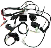 Complete Electrics Wiring Harness Spark Plug CDI Ignition Coil Kit Compatible with Dirt Bike 125cc-250cc ATV UTV Quad Go Kart