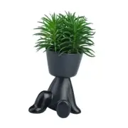 Faux Plants Indoor Decor, Artificial Succulents in Pots Small Backward Black