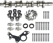 038109101AH Camshaft Lifter Rebuild Kit Replacement for 2005 2006 VW Jetta MK5 1.9 TDI BRM Engine 038145215, 038109309A, 038103714A, 038103385A
