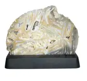 Agate Druzy Geode On Stand - A