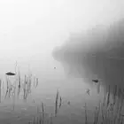Dakota Suite This River Only Brings Poison (Vinyl)