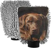 XYMZR Clock Dog Retro Absorbent Microfiber Car Wash Mitt, Funny Cute Anime Scratch Free for Cars Cleaning, Home Cleaning Mitts, 2 Pack, 10.24” L x 7.09” W