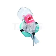 Dental Simulator Manikin Phantom Head Model Training Practice Teeth Model