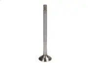 Exhaust valve FRECCIA R6507/RCR for FIAT BRAVA (182_) 1.2 2000-2001